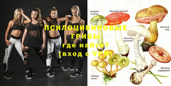 прущие крисы Аркадак