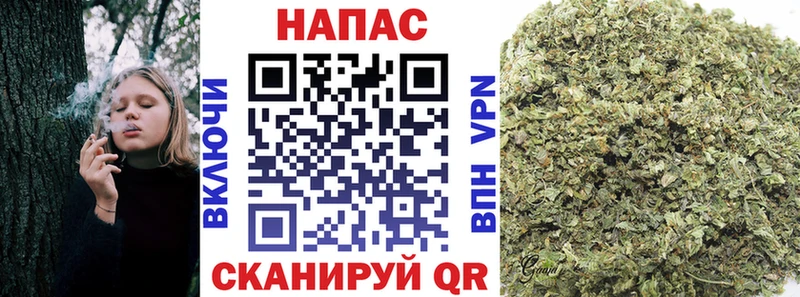 Марихуана THC 21%  Суровикино 